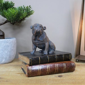 Bulldog On Books Resin Ornament