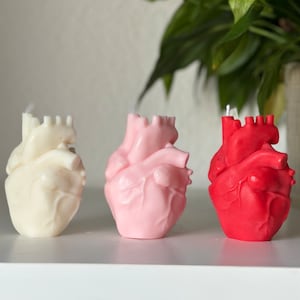 Candle Anatomical Heart | Gift for medical students | Heart candle