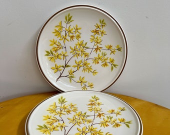 Vintage dinner plates Mikasa set of two yellow floral 1970s