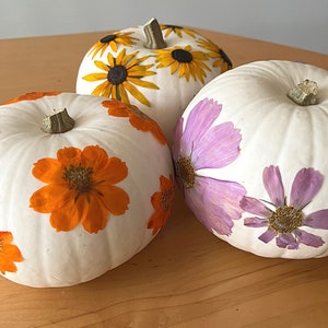 Pressed Flower Pumpkin Workshop 9/9/23 1pm - Ted Lare - Design & Build