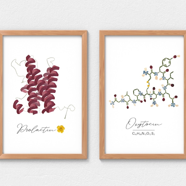 Obgyn Office Wall Art - Etsy