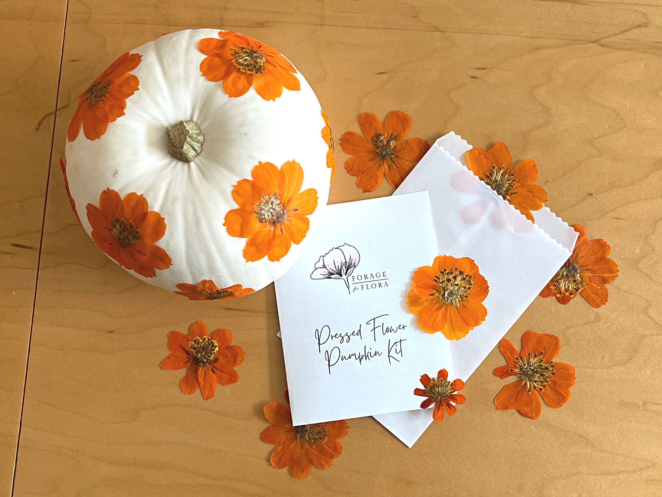 DIY Pumpkin Craft Kit – 9 White Foam Pumpkins & 108 Dried Flowers For Fall, Halloween, Thanksgiving Decor (2.76" Pumpkins)