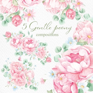Watercolor Peonies, Peony flowers clipart, Romantic, Spring floral clipart, Wedding invite card, Blush Peony, Decor, Peony Compositions, PNG