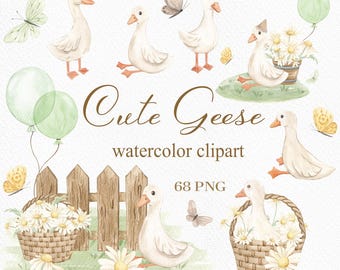 Watercolor Geese Clipart: Daisy Flower Compositions (68 PNG, Digital Download)