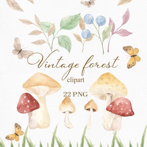 Vintage bos aquarel clipart: bospaddenstoelen, uitnodiging, bloemenelementen, logo, kinderkamer clipart (22 PNG)