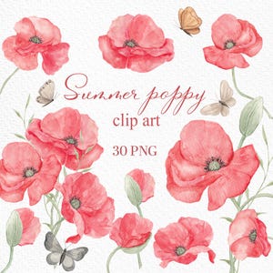 Aquarell Mohnblumen, Wildblumen Clipart, Florale Elemente Png, Wiesenhochzeit, Sublimation, digitales Set, rote Mohnblume, Mohn ClipArt