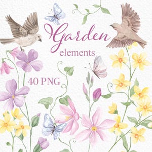 Fleurs printanières de la forêt, clipart prairie, aquarelles d'oiseaux, papillons, fleurs de jardin, baby shower, éléments de sublimation, petites fleurs, PNG