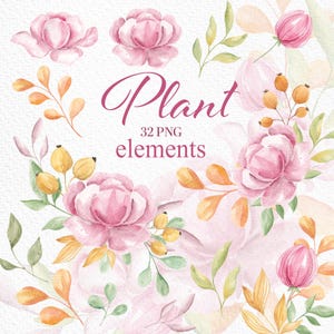Aquarel rozen, bloem clipart, roze rozen, bruiloft, bloem composities, zacht, natuurlijk, blozen roos PNG, babyshower, sublimatie-elementen