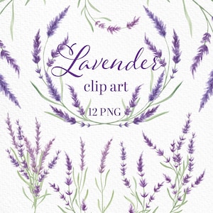 Aquarell Lavendel, Blumen Clipart, Lavendel, Lavendelkranz, Clipart für Einladungen, Violette Blumen png, Lila Blume, Garten, Provance, PNG