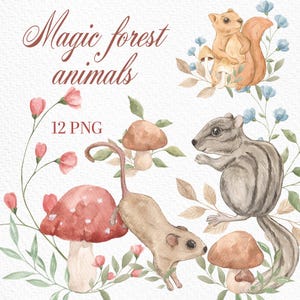 Aquarelle forêt magique, cliparts, animal de la forêt, escargots, champignons, papillon, herbes mystiques, fleurs sauvages, écureuil, tamia, souris, PNG