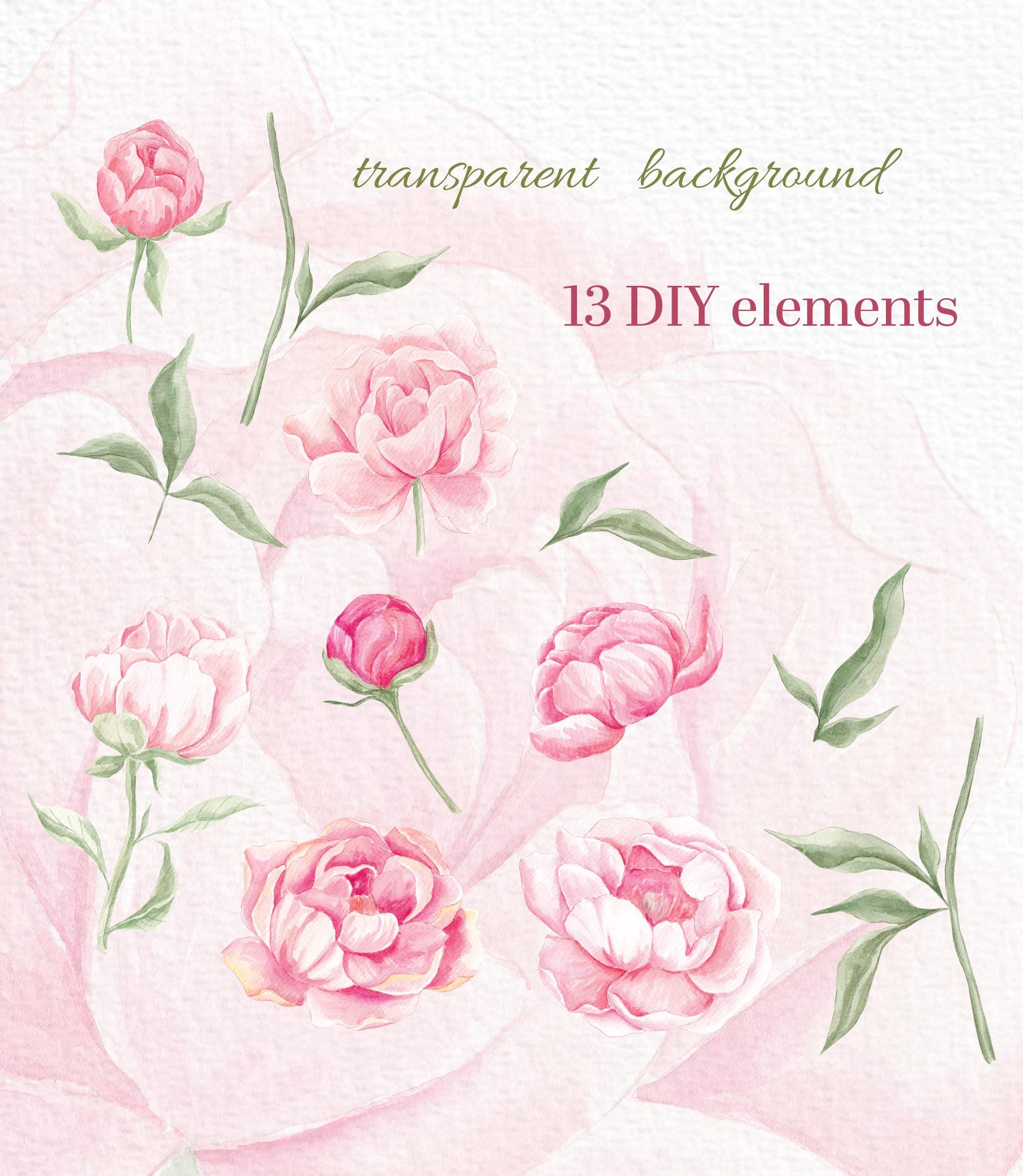 Peony Clipart, Blush Pink, Peonies Png, Watercolor Floral Clip Art ...