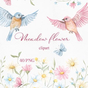 Imágenes prediseñadas de flores primaverales en acuarela: pájaros, mariposas, flores (40 imágenes PNG, descarga digital)