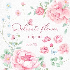 Watercolor Peonies, Png clipart, Peony flowers clipart, Romantic, Spring floral clipart, Wedding invite card, Digital PNG, Blush Peony, Pink