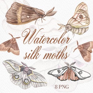 Motte Clipart, Aquarell Insekten, gemalte Motten, mystische Motte Clipart, Aquarell Schmetterling, digitaler Download, Scrapbooking, Cottagecore