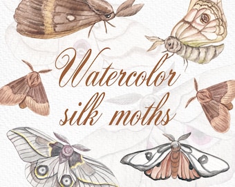 Watercolor Moth Clipart: Mystical Insect Art,  Butterfly, Cottagecore (Digital Download)