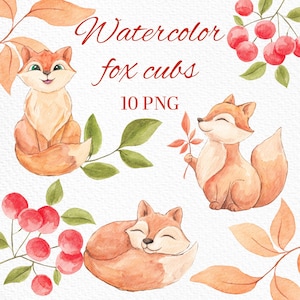 Clipart renard des bois, clipart animaux de la forêt, bébé renard Clipart, ensemble de cliparts, peint à la main, forêt, clipart chambre d'enfant, logo, fleurs vintage