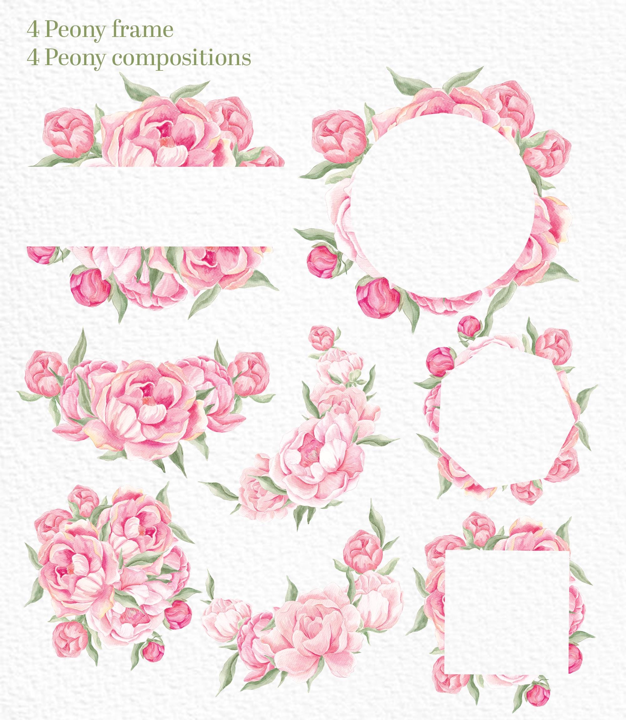 Peony Clipart, Blush Pink, Peonies Png, Watercolor Floral Clip Art ...