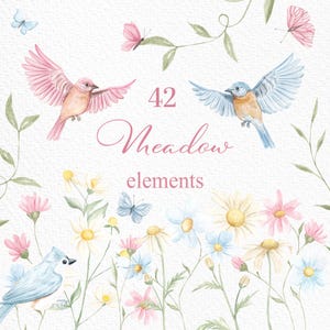 Wald Frühlingsblumen, Wiese Clipart, Aquarell Vögel, Schmetterlinge, zarte Blumen, Babyparty, Sublimationselemente, kleine Blumen, PNG