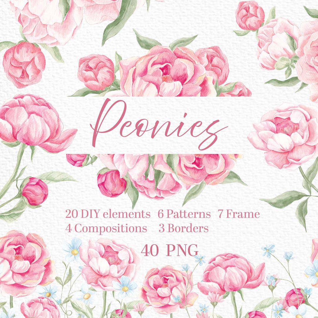 Peony Clipart, Blush Pink, Peonies Png, Watercolor Floral Clip Art ...