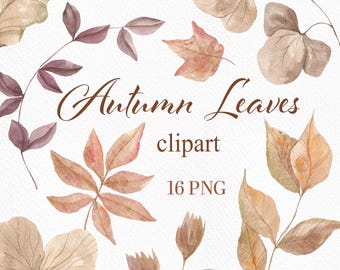 Autumn Watercolor Leaves Clipart: Fall Harvest PNG Elements, Dry Leaves compositions, Hand painted