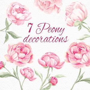 Peônias aquarela, Clipart png, Flores de peônia clipart, Romântico, Clipart floral de primavera, Cartão de convite de casamento, PNG digital, Peônia blush, Decoração