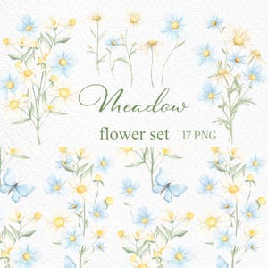 Blooms Clipart, Wildblumen Elemente, kleine Blumen, Botanisch, Garten, Hochzeit einladen, Wiesensträuße, Wildblumen, Baby Shower, Muster
