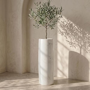 May include: A tall, cylindrical white marble planter with a small olive tree. The planter is smooth and polished, with subtle grey veining. The olive tree has green leaves and small olives. The sunlight casts a shadow of the tree on the wall.