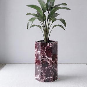 Puede incluir: Una maceta hexagonal de mármol burdeos con vetas blancas, que contiene una planta verde con hojas grandes. La maceta está colocada sobre una alfombra blanca contra una pared blanca lisa. La altura de la maceta es de unos 75 cm.