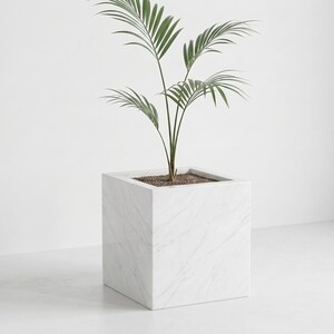 May include: A square, white marble planter with a green plant. The planter has a minimalist design with visible veining in the marble. The plant has long, slender green leaves. The planter is a modern home decor item.