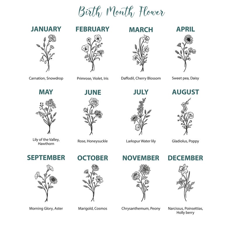 May include: A chart showing the birth month flower for each month of the year. The chart is divided into 12 sections, one for each month. Each section includes a black and white illustration of a bouquet of flowers and the name of the flower(s) associated with that month.