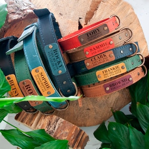 Personalized Leather Dog Collar, Engraved Dog Collar Boy Girl, Custom Dog Collar with Name Plate, Leather Dog Collar, Puppy Collars, Ukraine