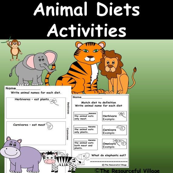 kindergarten-1st-grade-animal-diet-activities-animal-unit-etsy