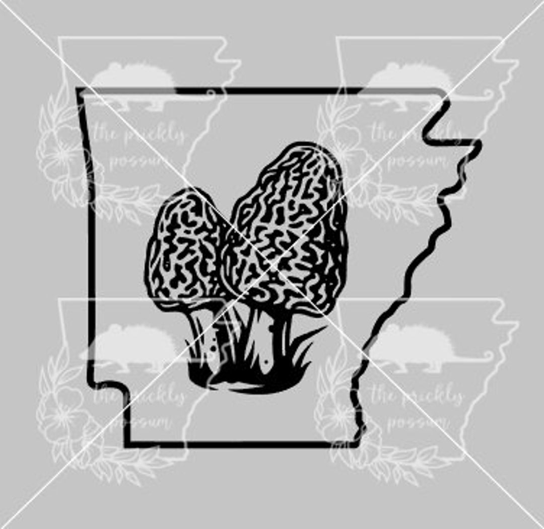 Morrell Svg Arkansas Morel SVG - Etsy