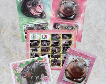 Moo Deng Thailand Hippo Stamp Full set Collection - Postcards, A4 A5 Animal Collectible