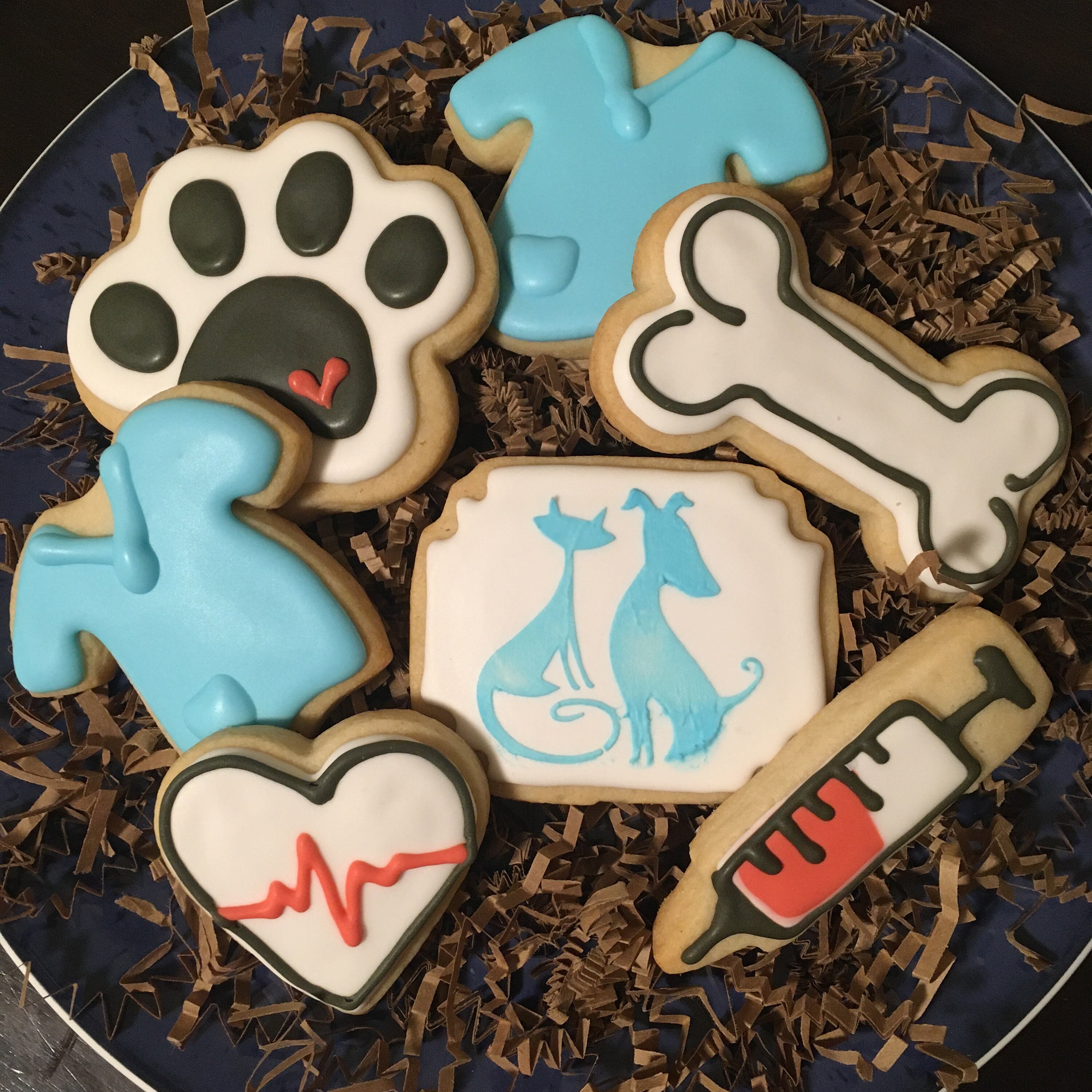 Veterinary Cookie Set Pet Hospital Cookies Etsy