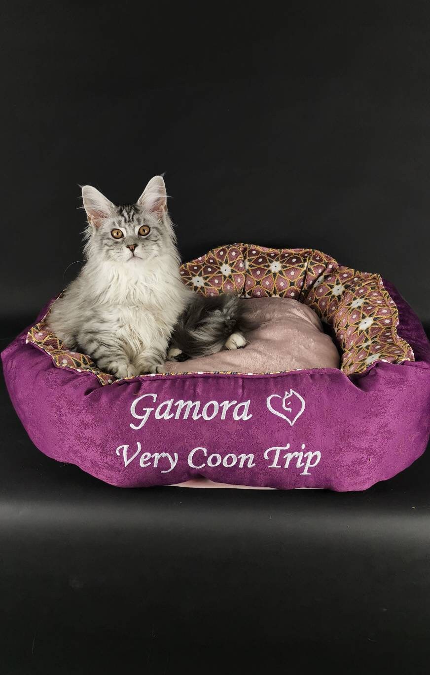 Coussin Personnalisé