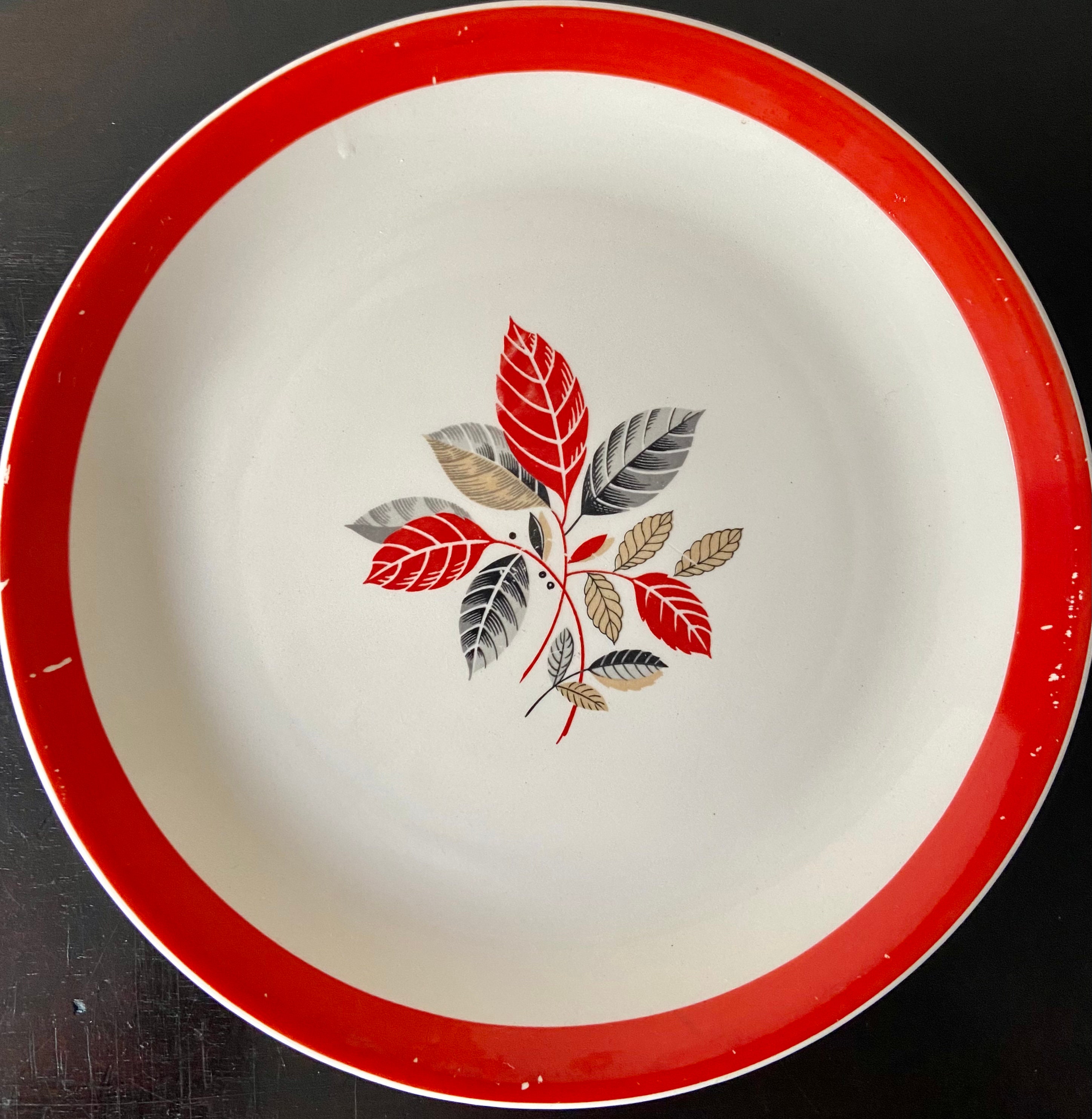 Vintage Mid Century moderne Alfred Meakin 24cm dinerborden