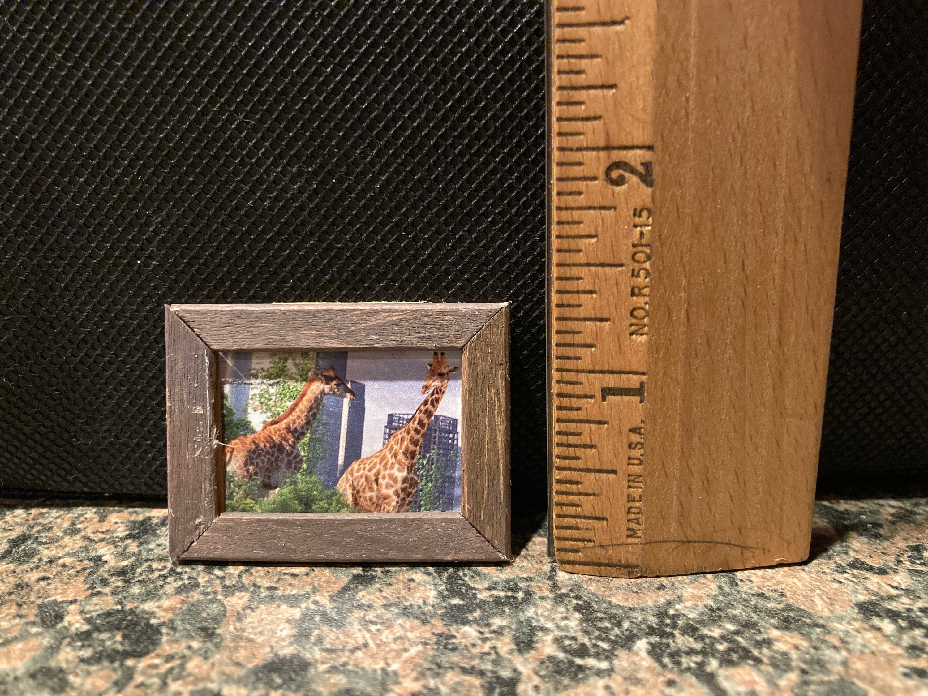 2piece wooden framed Animals in the City pictures Etsy