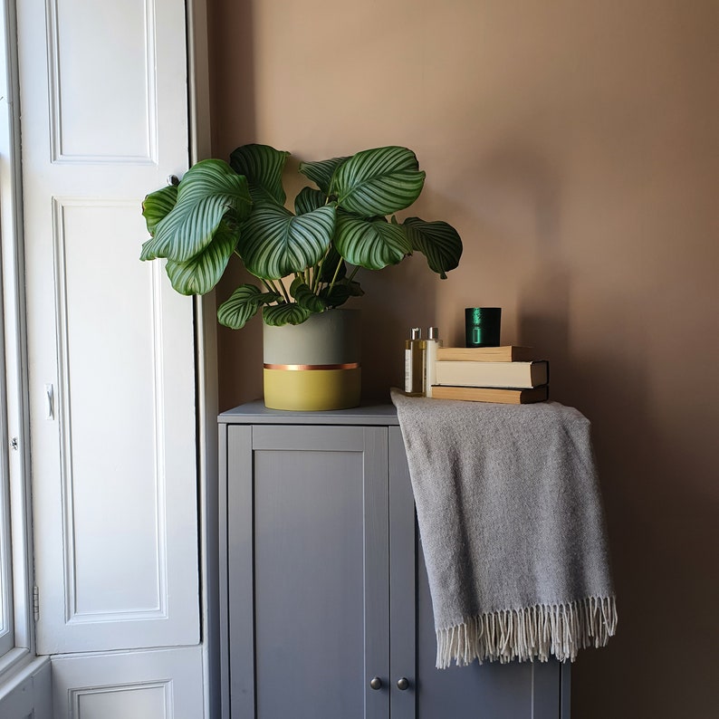 MELROSE 25cm Concrete Indoor Plant Pot | Extra Large Planter | Yellow ...