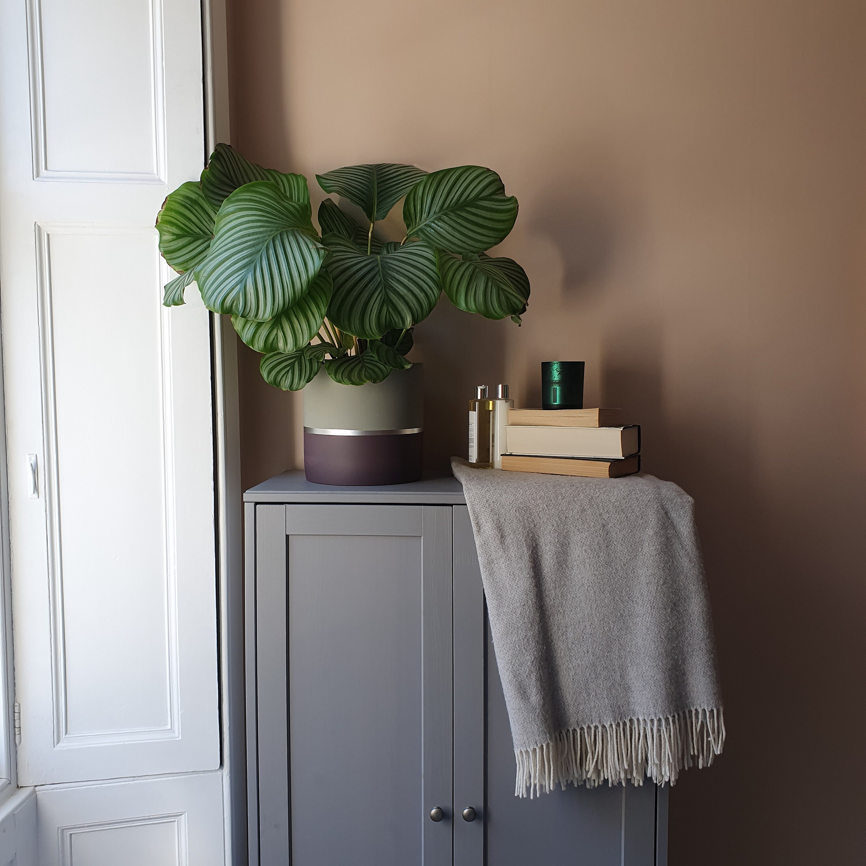 MELROSE 25cm Concrete Indoor Plant Pot | Extra Large Planter | Purple ...