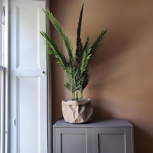 May include: A houseplant with vibrant green, fern-like fronds. The plant is displayed in a beige paper pot, placed on a grey cabinet. The backdrop is a warm brown wall, with a white door frame visible on the left.