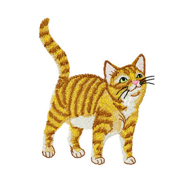 Orange Tabby Cat Machine Embroidery Design 5 tailles Etsy