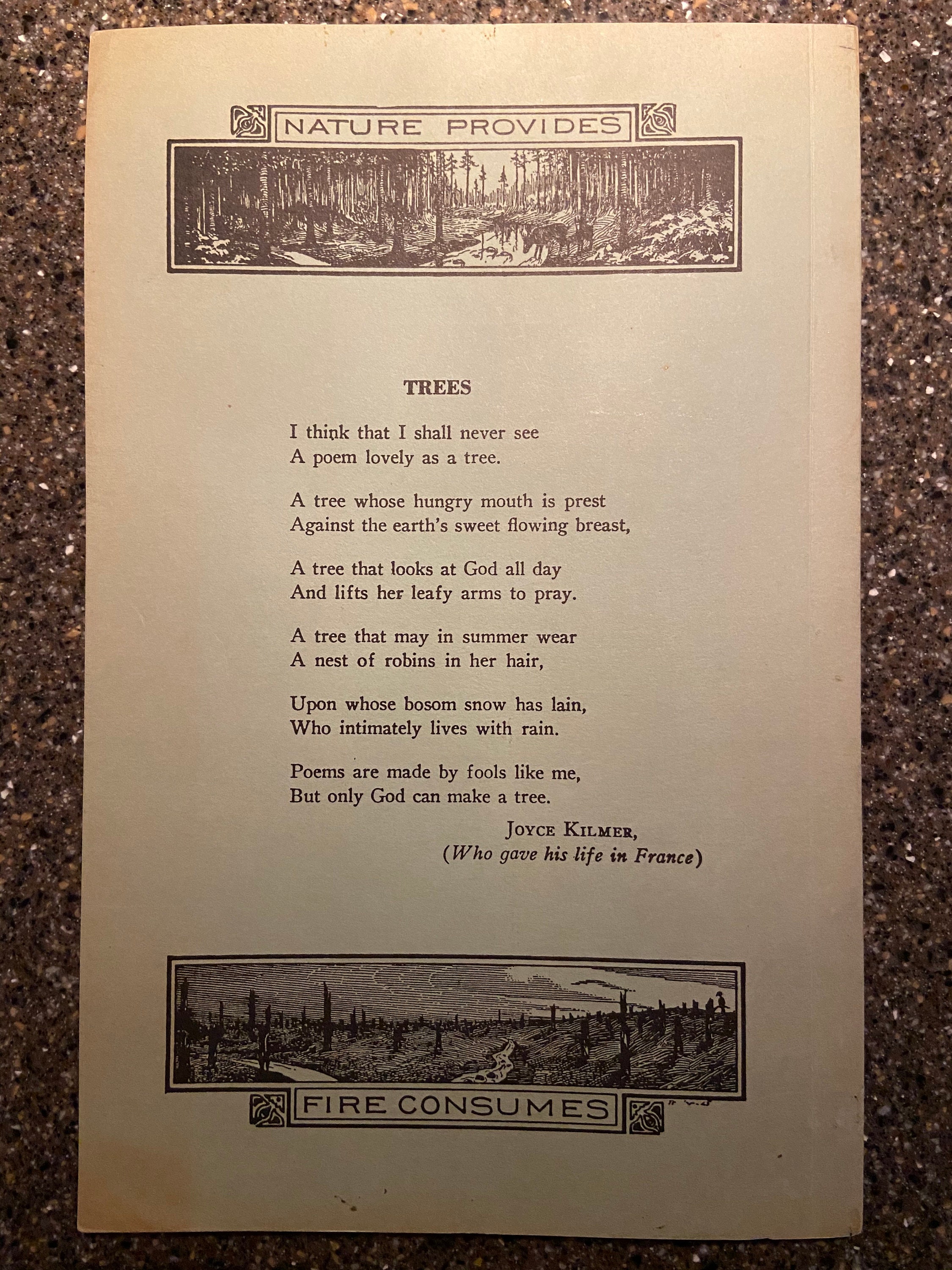 Forest Trees of Oklahoma 1959 Etsy