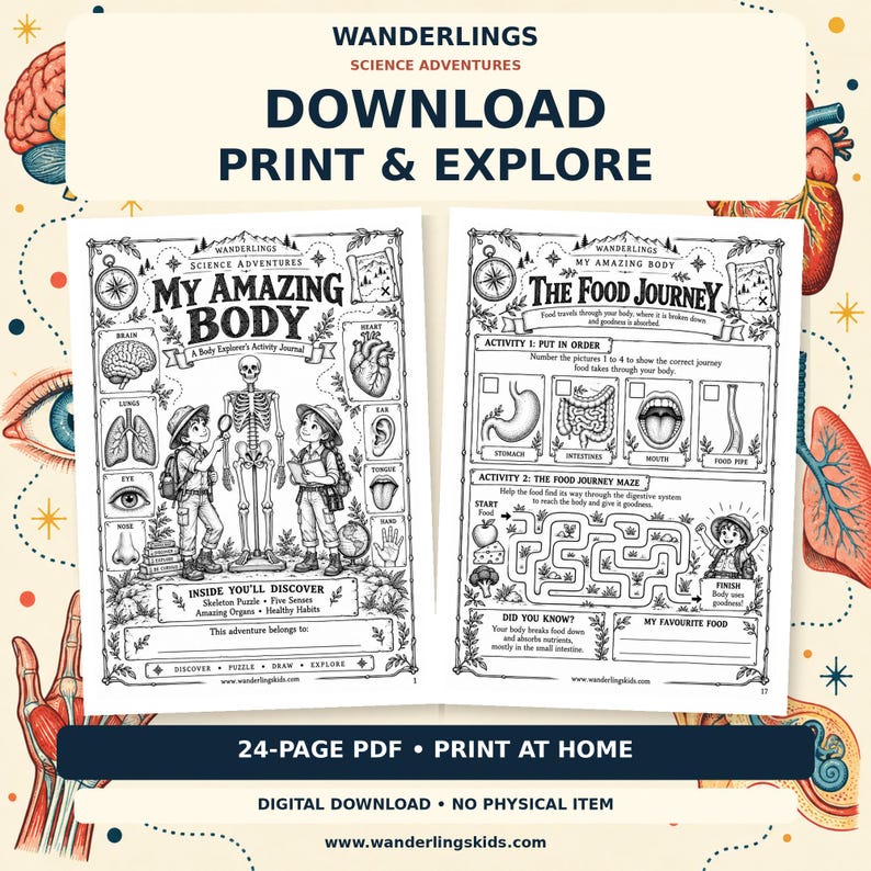 May include: Two black and white printable activity sheets titled My Amazing Body and The Food Journey. The pages feature illustrations of a skeleton, internal organs, and children exploring science concepts with text labels and educational activities.