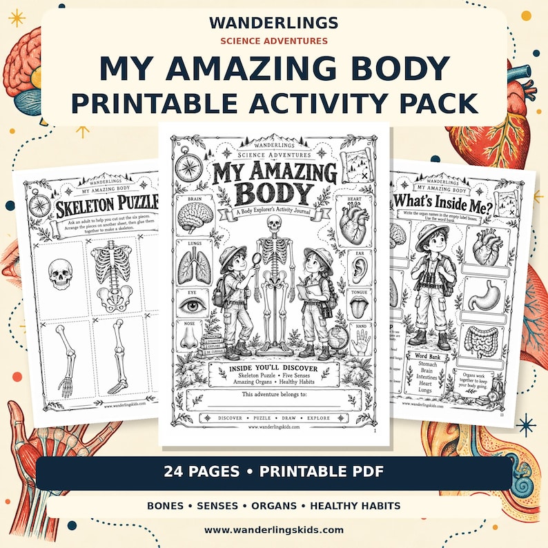 May include: A 24-page printable PDF activity pack titled Wanderlings Science Adventures My Amazing Body. The black and white pages feature illustrations of human anatomy, including a skeleton, brain, heart, and organs, alongside explorer characters.