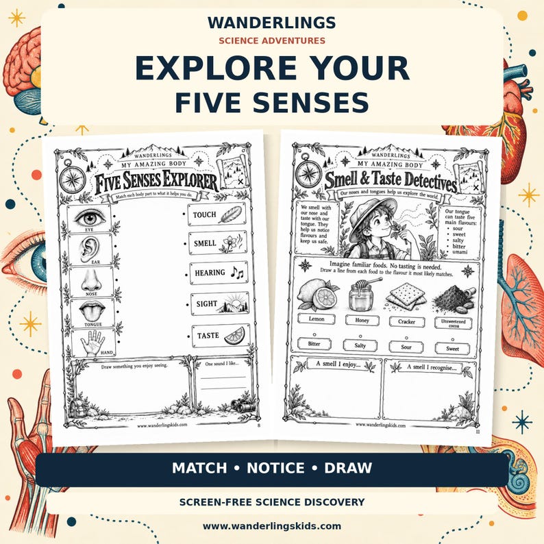 May include: Two educational activity sheets titled Wanderlings Science Adventures Explore Your Five Senses. The black and white pages feature illustrations and text for children to match body parts to senses, identify tastes, and draw observations.