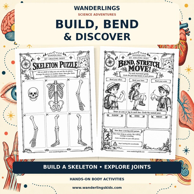 May include: Two educational activity sheets titled Wanderlings Science Adventures Build, Bend & Discover. The left sheet features a Skeleton Puzzle with six bone illustrations. The right sheet, Bend, Stretch, Move, shows anatomical movements.