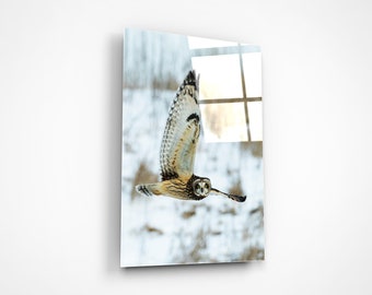 Graceful Woodland Owl Wall Art, Glass Print, Forest Wildlife Decor, Bird Lover Gift, Scandinavian Cottage Decoration