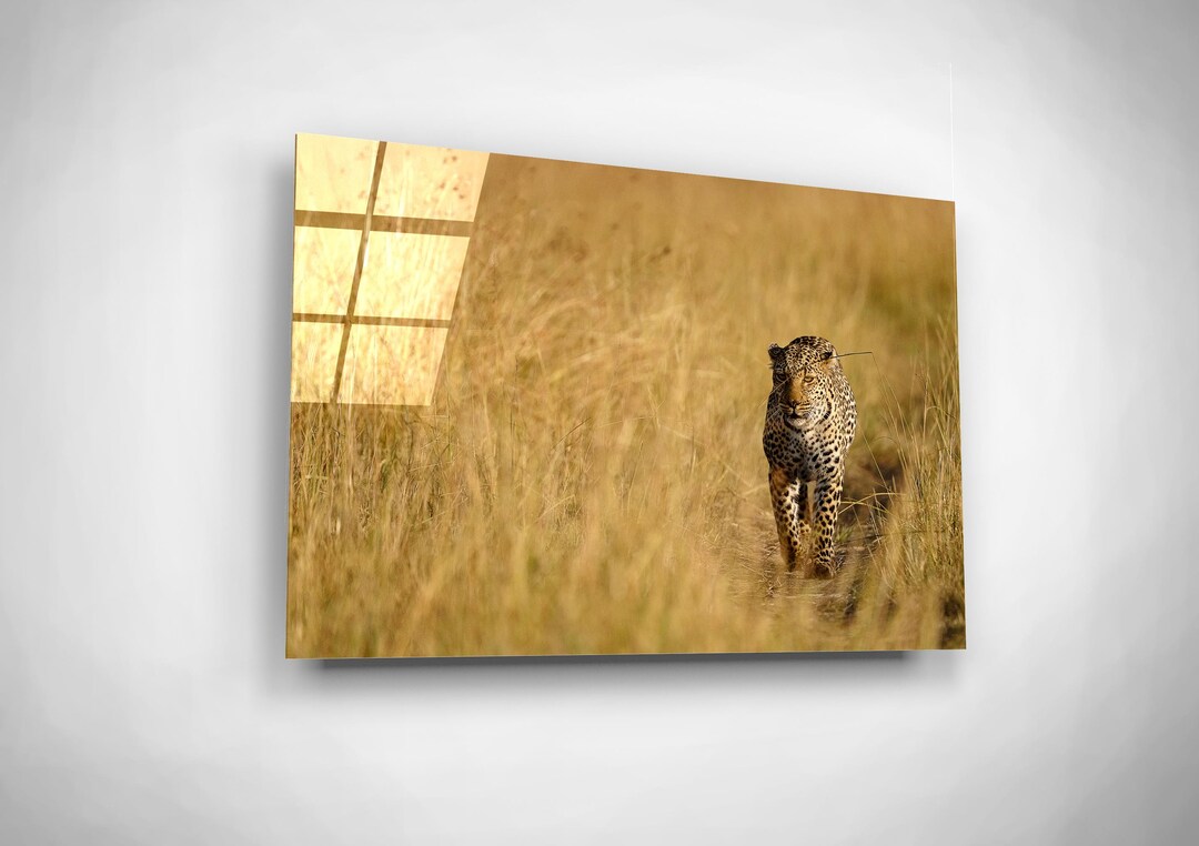 Leopard Print, African Wall Art, Wild Outdoors Life Glass Print, Safari