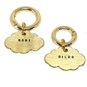 Könnte beinhalten: Zwei goldfarbene, wolkenförmige Hundemarken mit einem Metallring und einem Verschluss. Die Marke links trägt die Aufschrift "ROMI" und die Marke rechts die Aufschrift "BILBO".